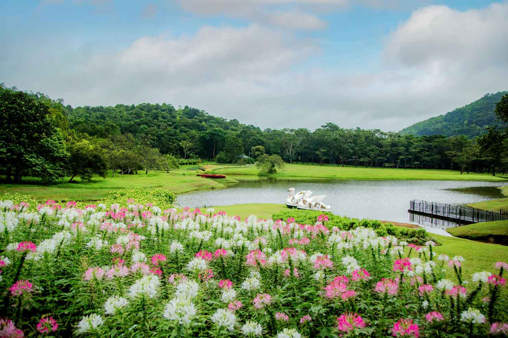 Seethawaka Botanical Garden