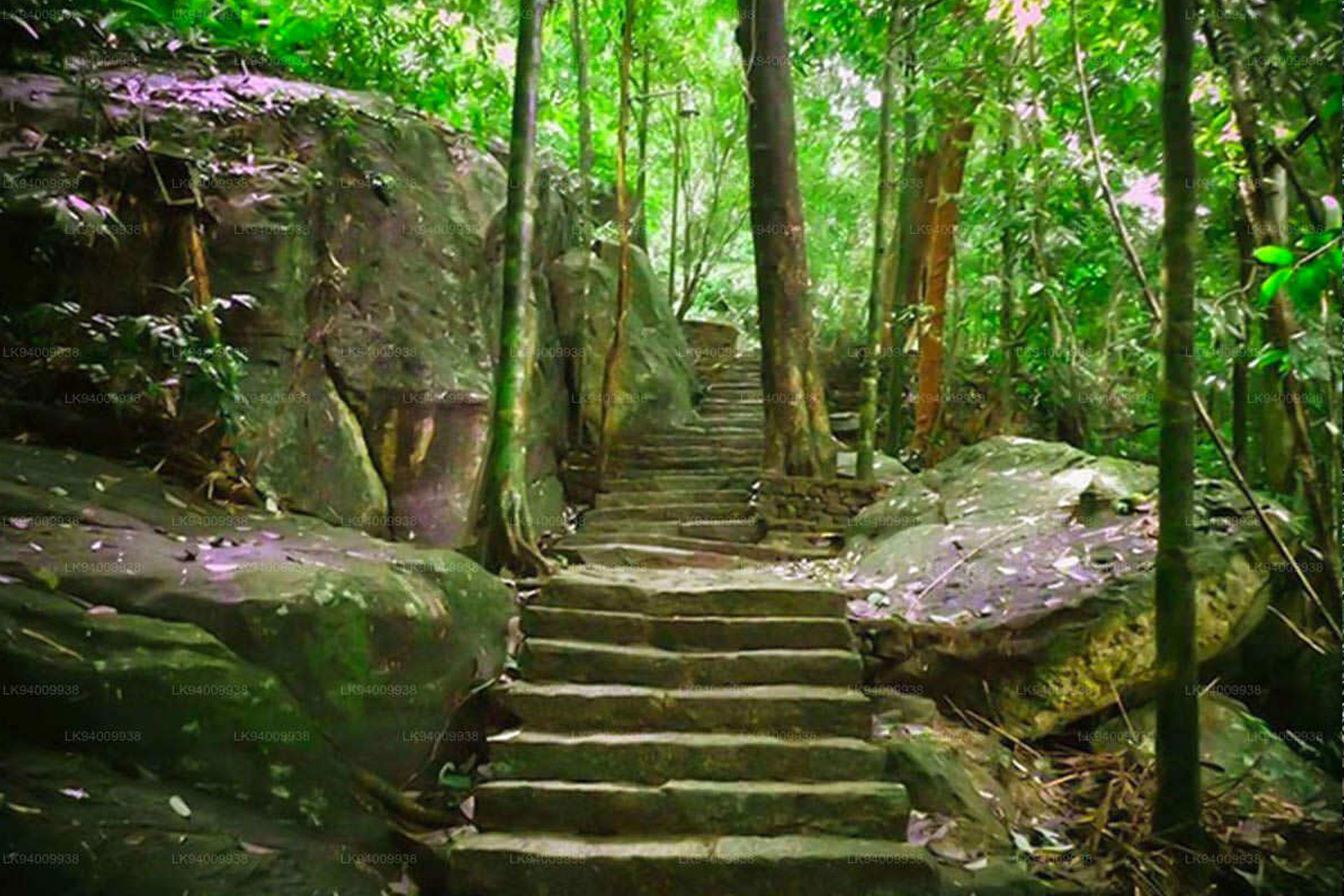 Bodhinagala Forest Reserve (Dombagaskanda)