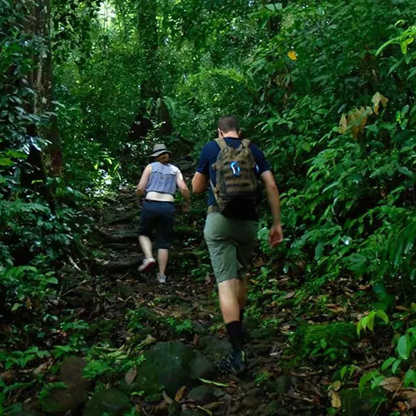 Guests Exploring Wilderness on a Jungle Trek at Ahas Gawwa Boutique Hotel, Sri Lanka